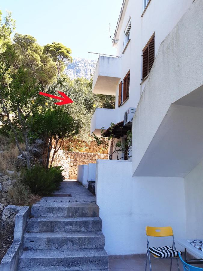 Peace And Quiet Apartment In Brela, Croatia Dış mekan fotoğraf